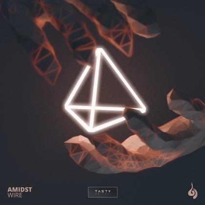 Amidst - Wire
