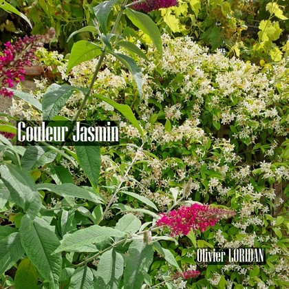 Olivier Loridan - Couleur Jasmin