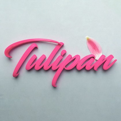 Press Hit Play - Tulipan